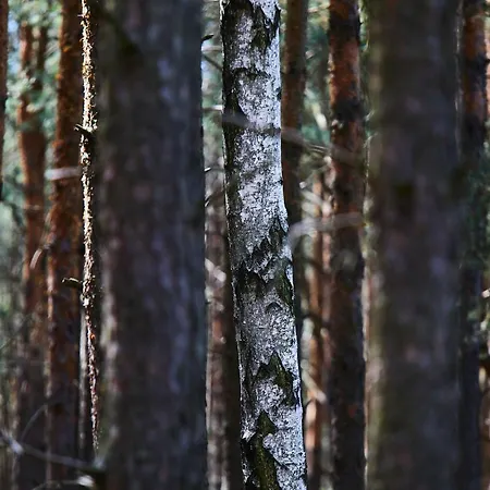 Casa de Férias Nowa Stodola