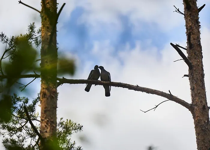 Nowa Stodola בית נופש Kuligow