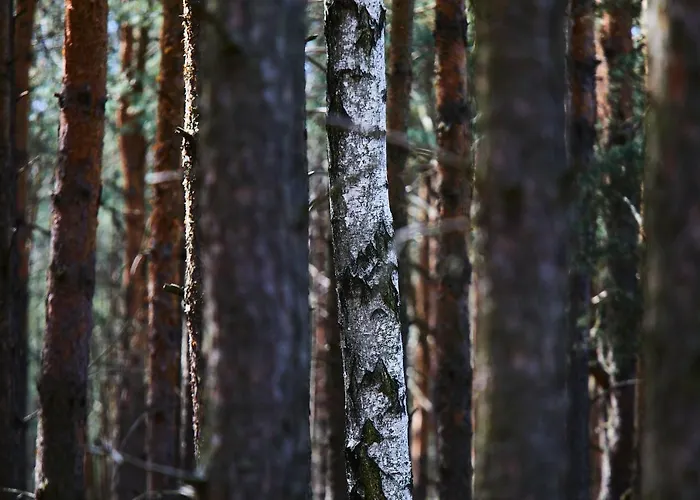 בית נופש Nowa Stodola