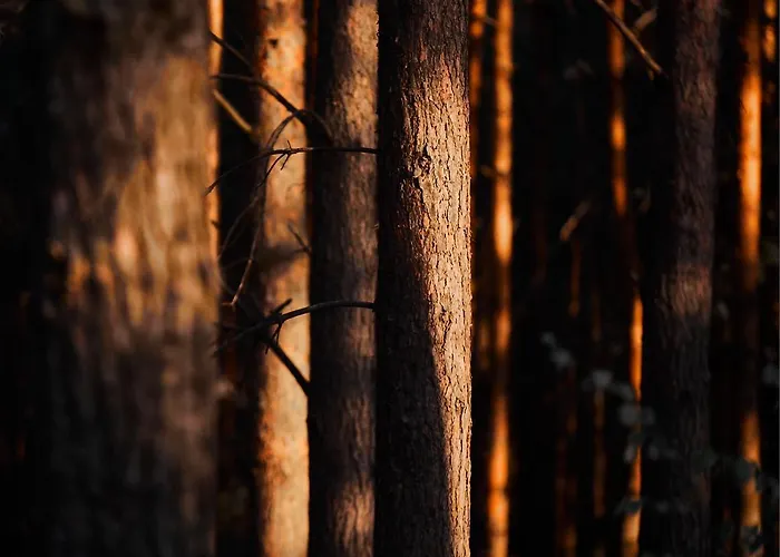 בית נופש Nowa Stodola Kuligow